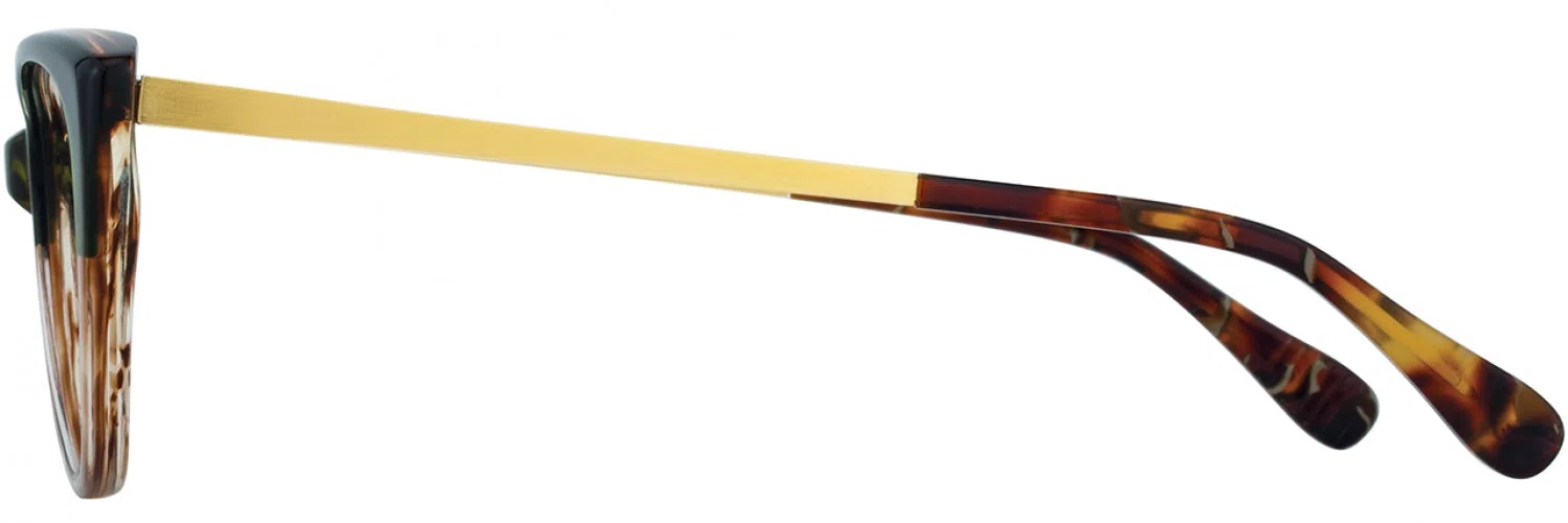 Alan J AJ502 Eyeglasses - view 17